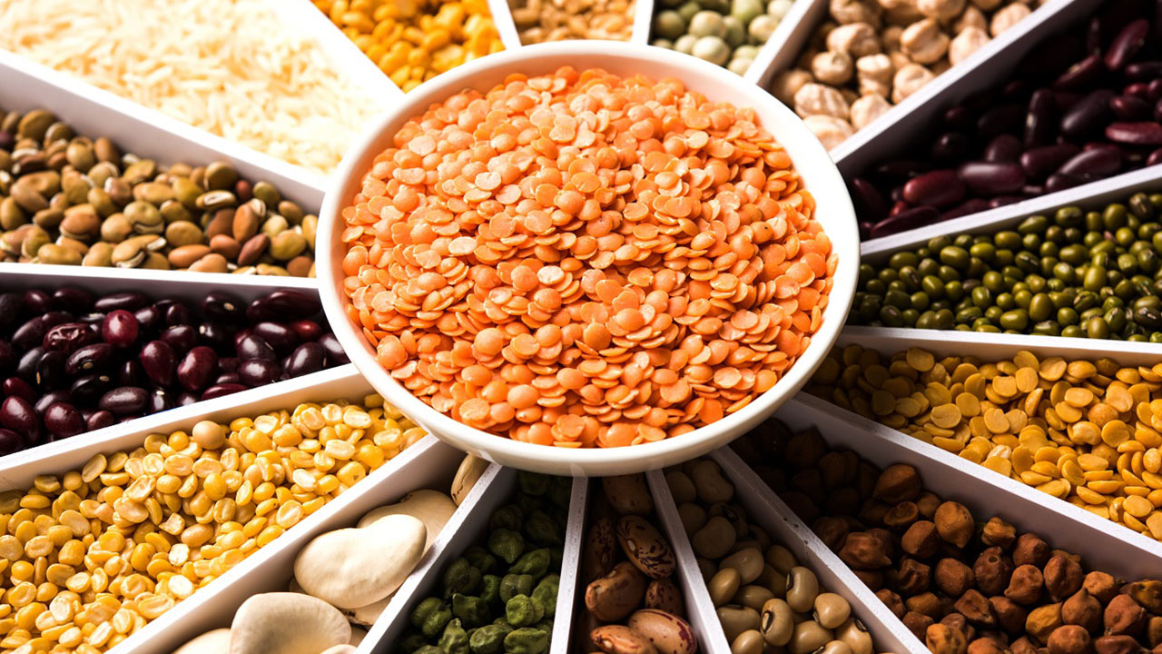 different types of pulses lentils